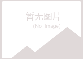 福安盼夏计算机有限公司